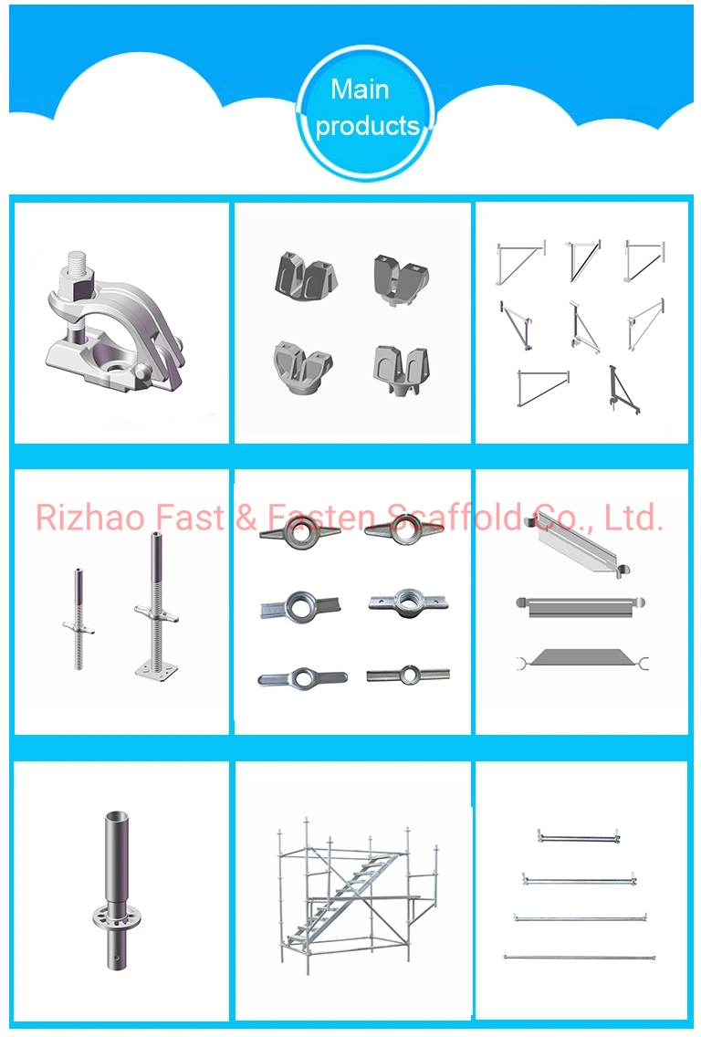 Formwork Tie Rod with Anchor Stop Wing Nut